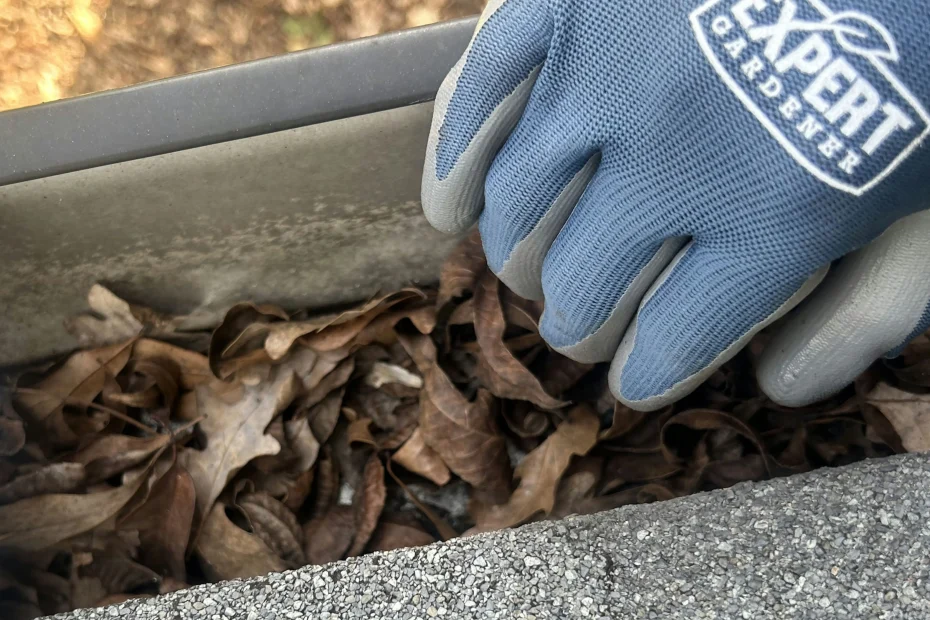 Gutter Cleaning Spring Valley Village