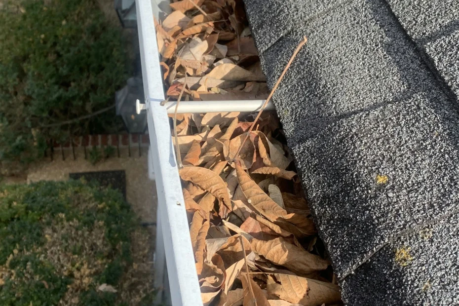 Gutter Cleaning Spring Valley Village