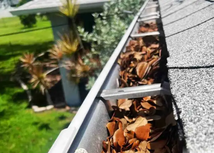 Gutter Cleaning Spring Valley Village home page